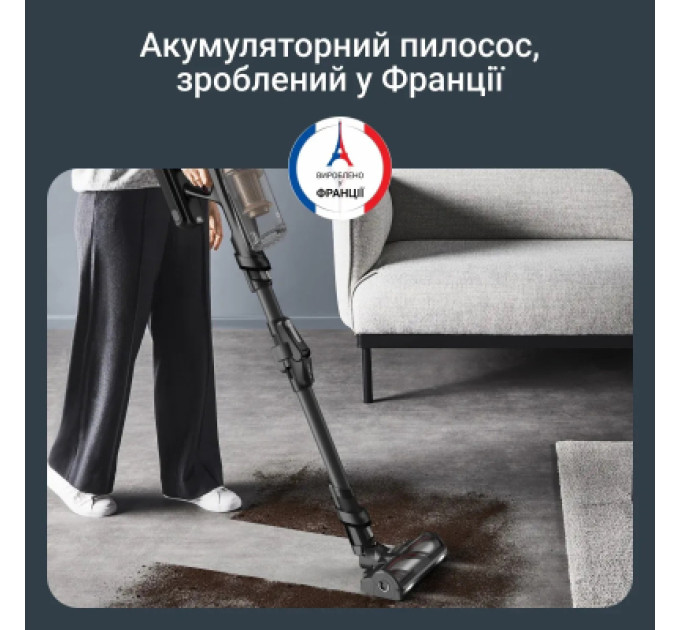 Rowenta Пилосос Rowenta RH9B74WO