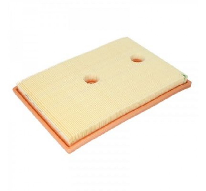 Mann Повітряний фільтр для автомобіля Mann C27009