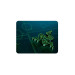 Razer Килимок для мишки Razer Goliathus Mobile small (RZ02-01820200-R3M1)