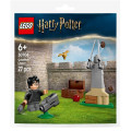 LEGO Конструктор LEGO Harry Potter Урок з Квідичу (30706)
