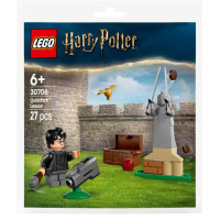 Конструктор LEGO Harry Potter Урок з Квідичу (30706)