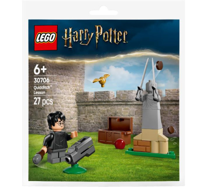 LEGO Конструктор LEGO Harry Potter Урок з Квідичу (30706)