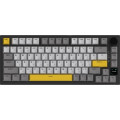 Ajazz Клавіатура Ajazz AK820 Pro Flying Fish Switch Black RGB USB/Wireless/Bluetooth UA Black (AK820PRO-FF-BGY)
