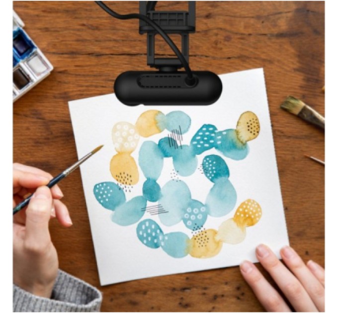 J5create Веб-камера J5create JVU250-N Full HD USB-A/C (JVU250-N)