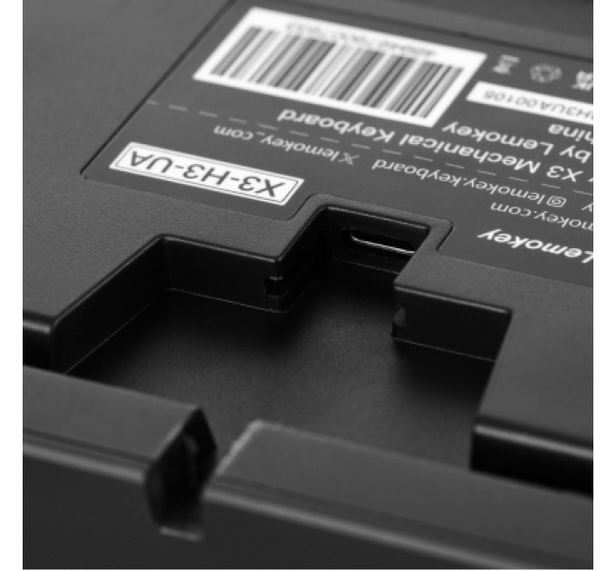 Lemokey Клавіатура Lemokey Keychron X3 Brown RGB USB Black (X3-H3-UA)