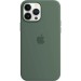 Apple Чохол-накладка Apple Silicone Case with MagSafe для Apple iPhone 13 Pro Max Eucalyptus (MN6C3)