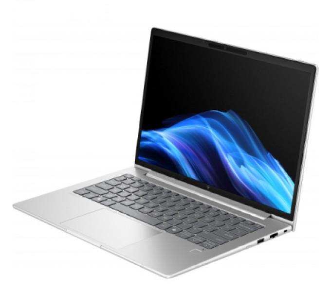 HP Ноутбук HP EliteBook 6 G1a (AY4Z7AV_V5)