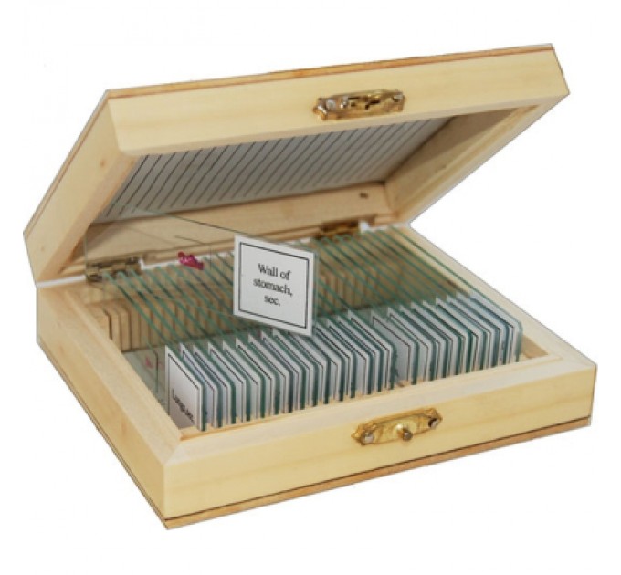 Sigeta Набір мікропрепаратів Sigeta Анатомія 25 шт (65105)