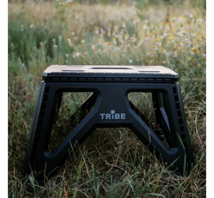 Tribe Стілець складаний Tribe Camp Chair Low пластиковий Black (T-EF-0001-black)