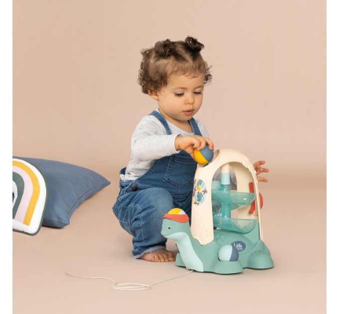 Smoby Розвиваюча іграшка Smoby Little Черепашка 2 в 1 (140310)