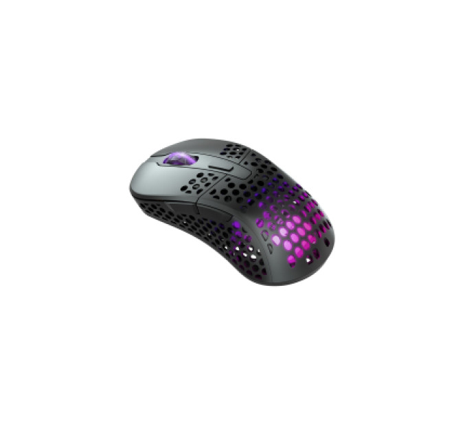 Cherry Xtrfy Мишка Cherry Xtrfy M4 RGB Wireless/USB Black (M4W-RGB-BLACK)