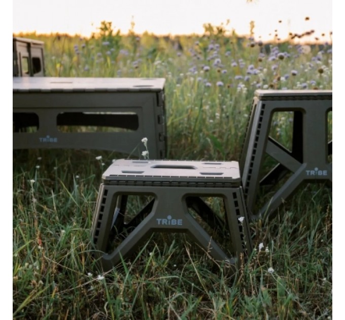 Tribe Стілець складаний Tribe Camp Chair Low пластиковий Olive (T-EF-0001-olive)