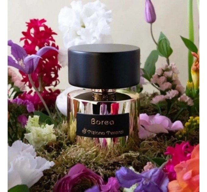Tiziana Terenzi Парфуми Tiziana Terenzi Borea 100 мл (8016741762581)