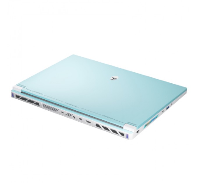 Thunderobot Ноутбук Thunderobot RS16 (RS16-R9985HX57TE1Q240ARC)