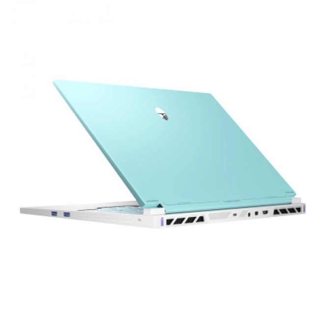 Thunderobot Ноутбук Thunderobot RS16 (RS16-I9139HX56E1Q240ARC)