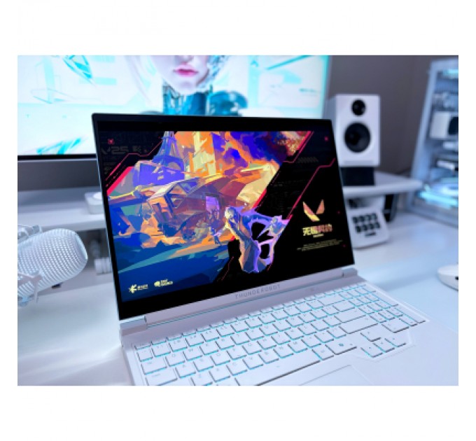 Thunderobot Ноутбук Thunderobot RS16 (RS16-I9139HX56E1Q240ARC)