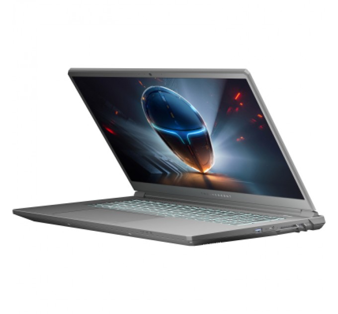 Thunderobot Ноутбук Thunderobot 911 X17 (911X17-i7136H56C1Q165MB)