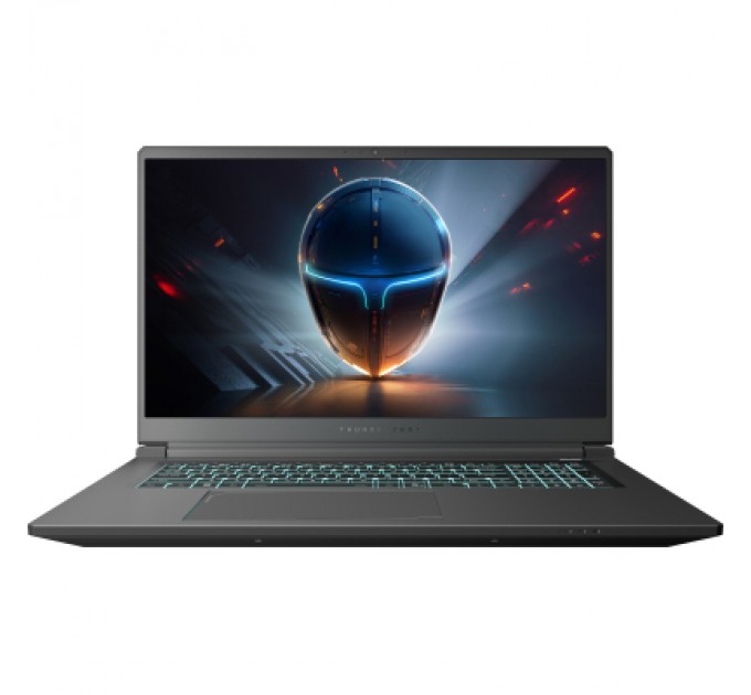 Thunderobot Ноутбук Thunderobot 911 X17 (911X17-i7136H56C1Q165MB)