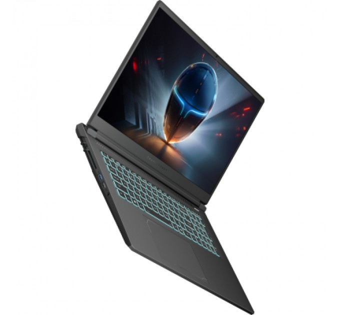 Thunderobot Ноутбук Thunderobot 911 X17 (911X17-i7136H56C1Q165MB)