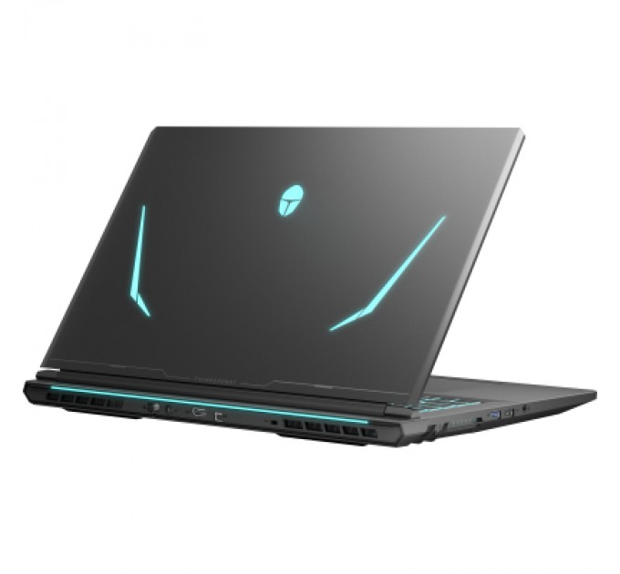 Thunderobot Ноутбук Thunderobot 911 X17 (911X17-i7136H56C1Q165MB)