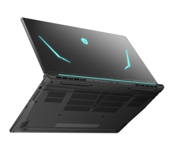 Thunderobot Ноутбук Thunderobot 911 X17 (911X17-i7136H56C1Q165MB)