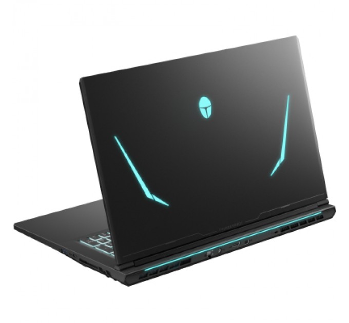 Thunderobot Ноутбук Thunderobot 911 X17 (911X17-i7136H56C1Q165MB)