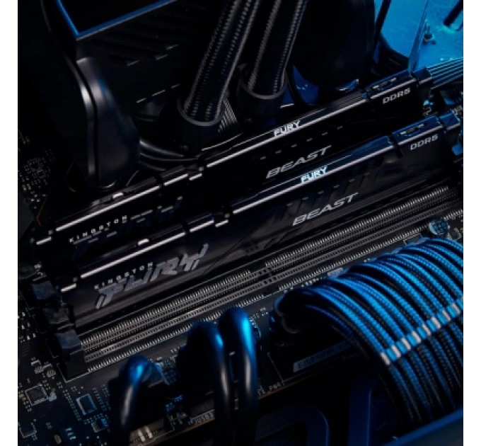 Kingston Fury (ex.HyperX) Модуль пам'яті для комп'ютера DDR5 128GB (2x64GB) 5600 MHz Beast Black Kingston Fury (ex.HyperX) (KF556C40BBK2-128)