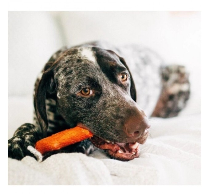 Іграшка для собак Petstages Mesquite Dogwood Гілка (з ароматом барбекю) 13.5 см (0700603301435)