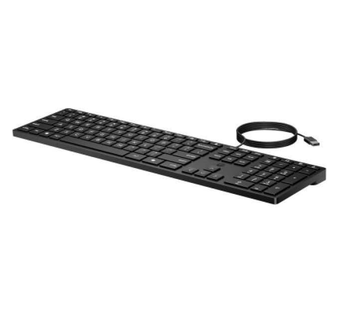 HP Клавіатура HP 320K USB UA Black (9SR37UT)