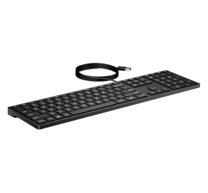 HP Клавіатура HP 320K USB UA Black (9SR37UT)