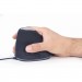 Gembird Мишка Gembird MUS-ERGO-03 USB Black (MUS-ERGO-03)