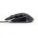 Gembird Мишка Gembird MUS-6B-GRAFIX-01 USB Black (MUS-6B-GRAFIX-01)