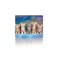 Килимок для мишки Voltronic Five Cats (YT-CAT30)