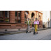 Segway Електросамокат Segway Ninebot E2 E II, чорний (AA.05.14.01.0004)