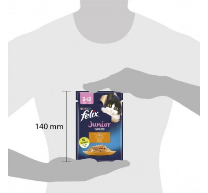 Вологий корм для кішок Purina Felix Fantastic Junior з куркою в желе 85 г (7613039832189)