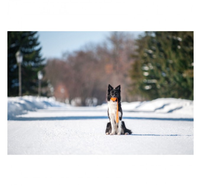 Іграшка для собак Liker Line М'ячик зі стрічкою 7 см (6287)