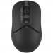 A4Tech Мишка A4Tech FB12S Wireless/Bluetooth Black (FB12S Black)