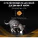 Сухий корм для кішок Purina Pro Plan Veterinary Diets NF Renal Function Early Care При хворобі нирок на ранніх стадіях 350 г (7613287882219)