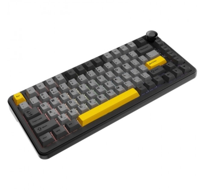 Клавіатура Ajazz AK820 MAX Magnetic Switch RGB USB Black (AK820MAX-WM-BGY)