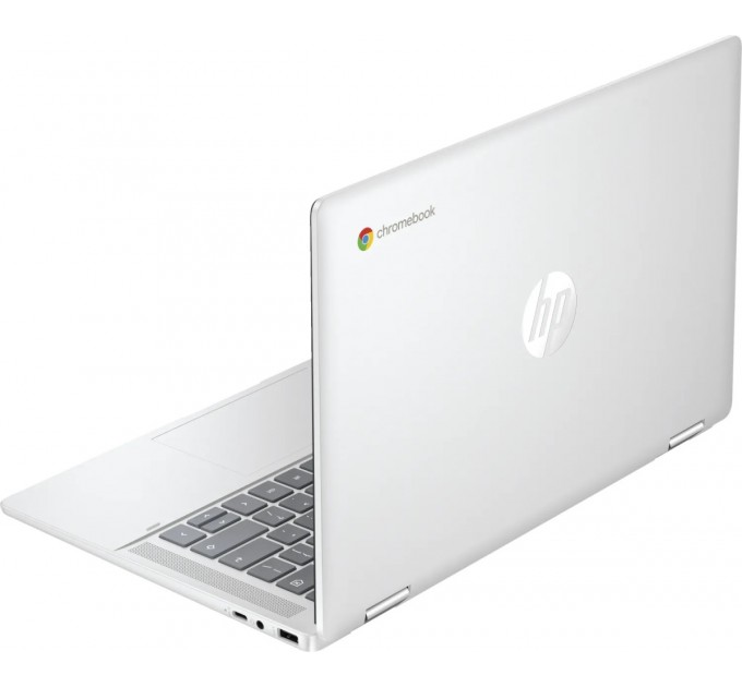 Ноутбук HP Chromebook x360 (198828598608) Silver