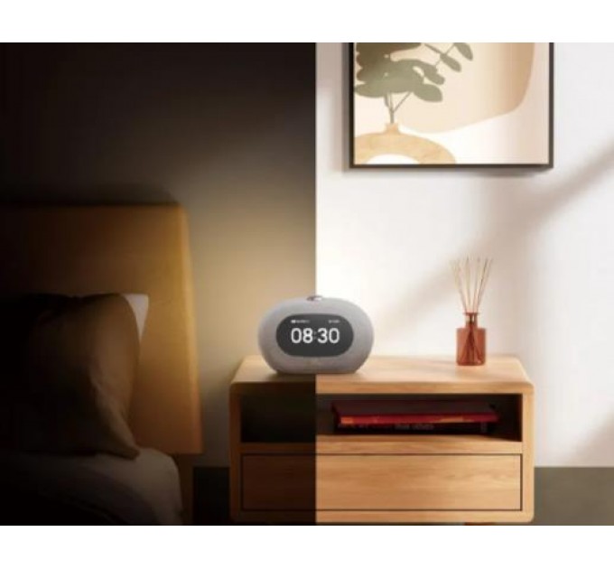 Акустична система портативна з БТ, тюнером та годинником JBL JBLHORIZON3GRYEP