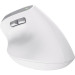 Trust Миша бездротова Trust Bayo II Ergonomic White (25398)