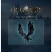 Xbox Гра Xbox Hogwarts Legacy, BD диск (5051895413432)