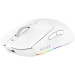 Ajazz Мишка Ajazz AJ139 V2 MC Wireless/Bluetooth/USB White (AJ139-V2-MC-W)
