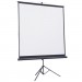 Проекційний екран Atria TRM-NTSC-60D