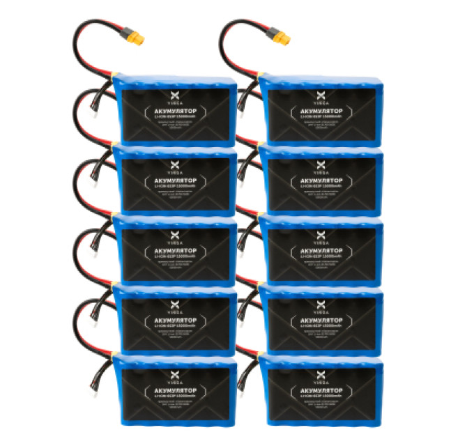 Vinga Акумулятор Vinga Li-Ion 6S3P 15000mAh коробка 10 шт (JHY Li-Ion 21700 5000mAh) (V6S3P-10PCS-15000MAH)