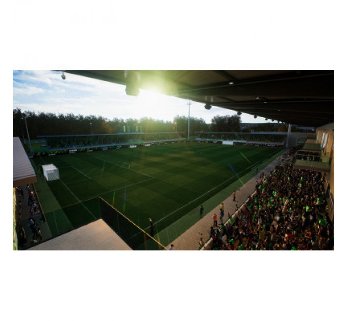 Nintendo Гра Nintendo EA SPORTS FC 24, картридж (1159449)