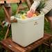 Naturehike Термобокс Naturehike CNK2300BS011 24 л бежевий (6976023925665)