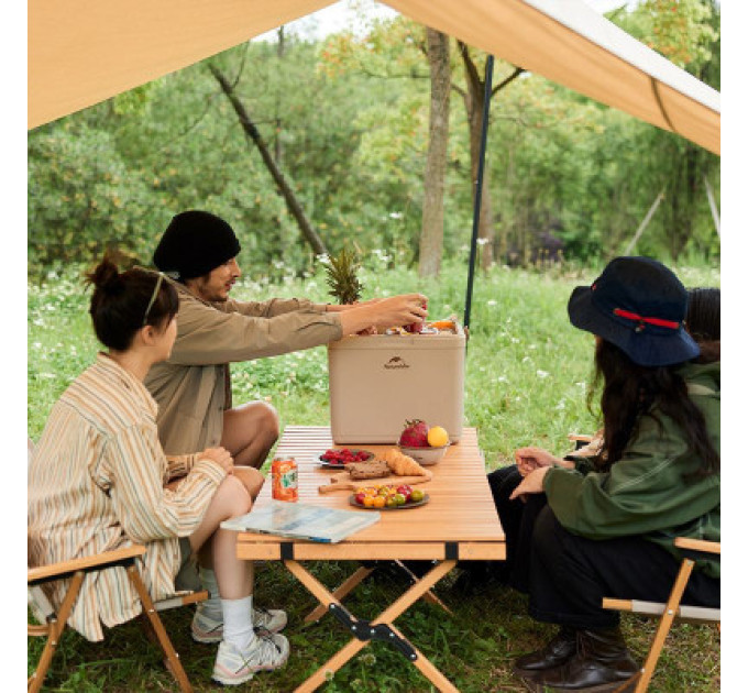 Naturehike Термобокс Naturehike CNK2300BS011 24 л бежевий (6976023925665)