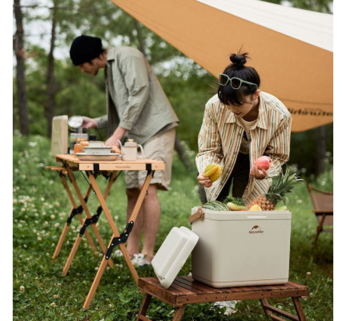 Naturehike Термобокс Naturehike CNK2300BS011 24 л бежевий (6976023925665)